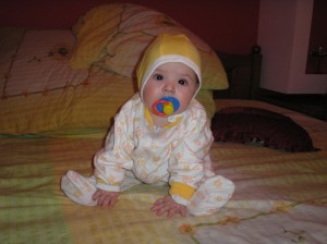 p1010008_web