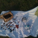 img_0554 img_0554