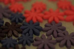 img_1087