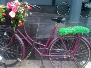 photo8